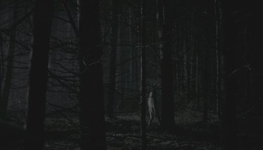 Аня Тейлор Джой